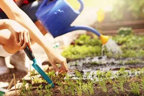 Garden maintenance work in Willesden with tidy lawn and trimmed hedges