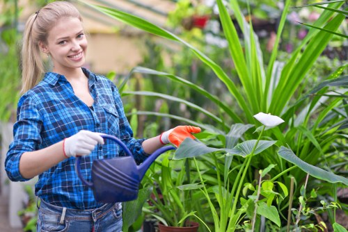 Gardeners Willesden introducing a well-kept local garden
