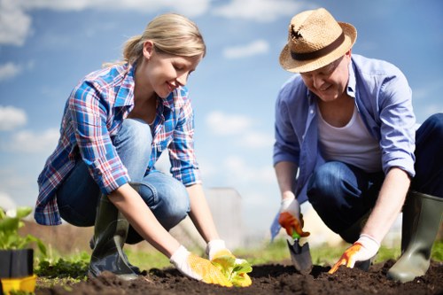 Gardeners Willesden improving a balanced outdoor space