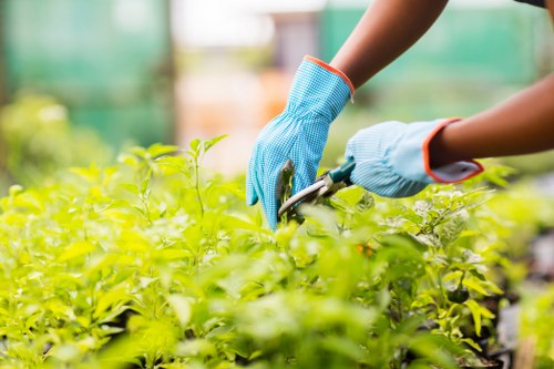 Payment and service scope terms for gardeners