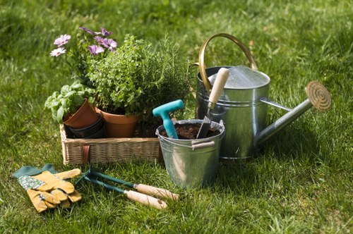 Professional tree removal service in a Willesden garden