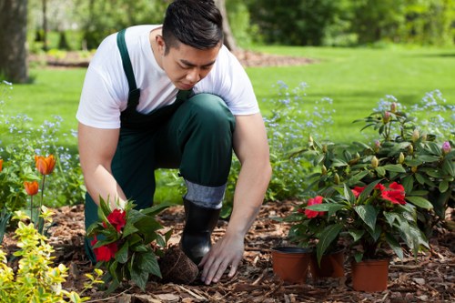 Professional gardening safety checks in a Willesden garden