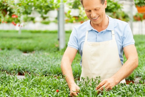 Inclusive access statement for Gardeners Willesden visitors