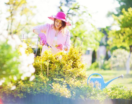 Professional team clearing bulky garden items in Willesden