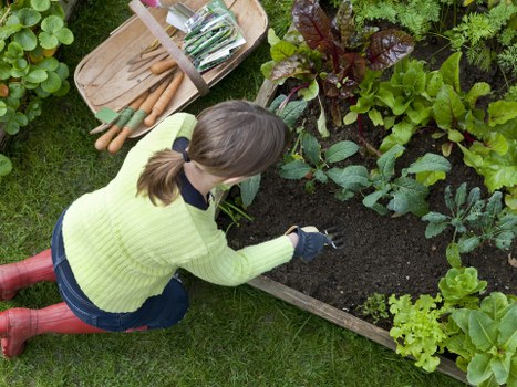 Clear complaint review steps for gardening work