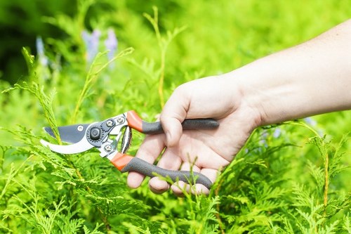 Responsible and ethical gardening service standards in Willesden