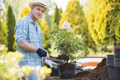 Gardeners Willesden caring for planting in a residential garden