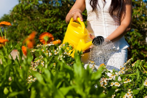 WCAG 2.1 AA compliant content for Willesden gardeners