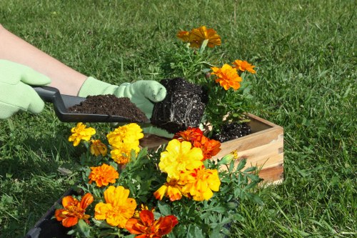 Professional gardeners in Willesden maintaining plants and lawn