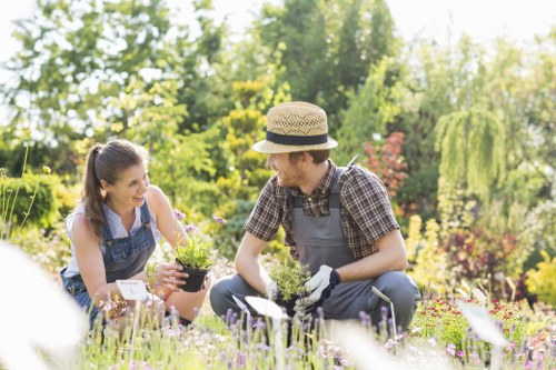 Patio maintenance and cleaning results in Willesden